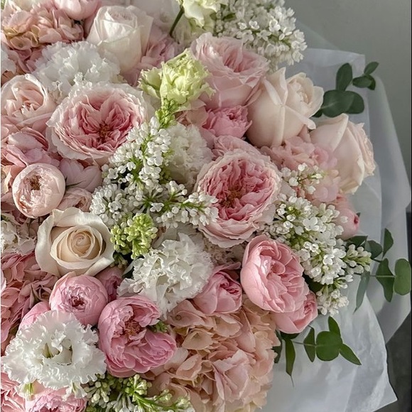 Meet your Posher, Mckenzie - Picture 1 of 1